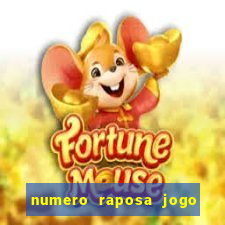 numero raposa jogo do bicho